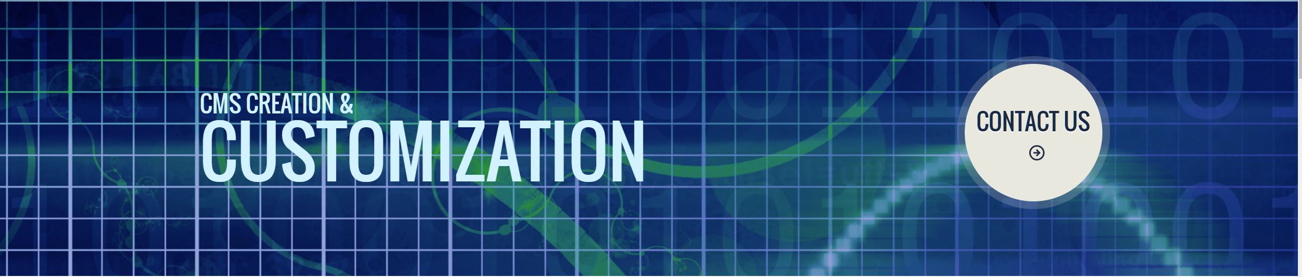 CMS Creation and Customization